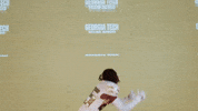Georgia Tech Football Sport GIF by Georgia Tech Yellow Jackets