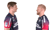 Handball-Bundesliga Handshake Sticker by LIQUI MOLY HBL