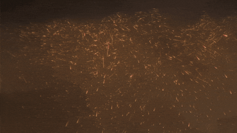 Sara Arjun GIF by Jio Studios