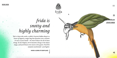 DesignRush giphyupload GIF