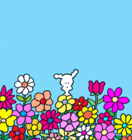 you are beautiful love GIF by Chippy the dog