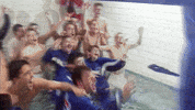 Party Fun GIF by DFB-Teams