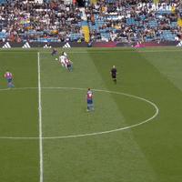 Premier League Sport GIF by Crystal Palace Football Club