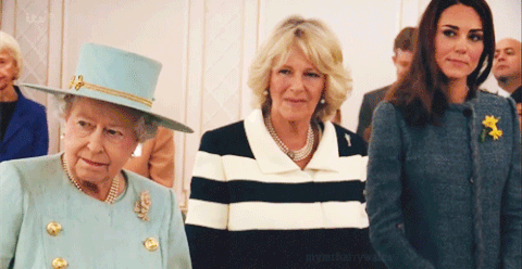 duke of cambridge GIF