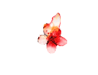 Sticker by The Inheritance