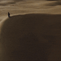 Desert Im Here GIF by Suryagarh Collection