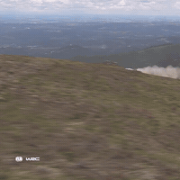 Speeding Fast Car GIF by FIA World Rally Championship