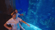 Clementine GIF by Halsey