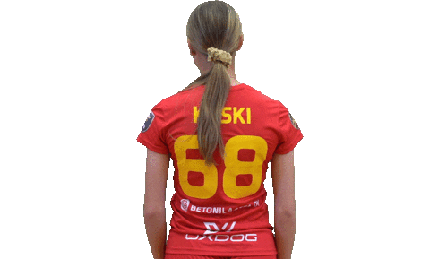 Floorball Salibandy Sticker by F-liiga
