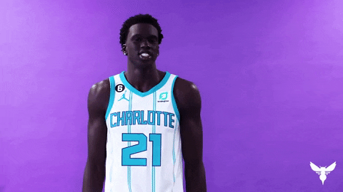 Basketball Nba GIF by Charlotte Hornets