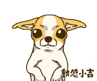 Animation Dog GIF