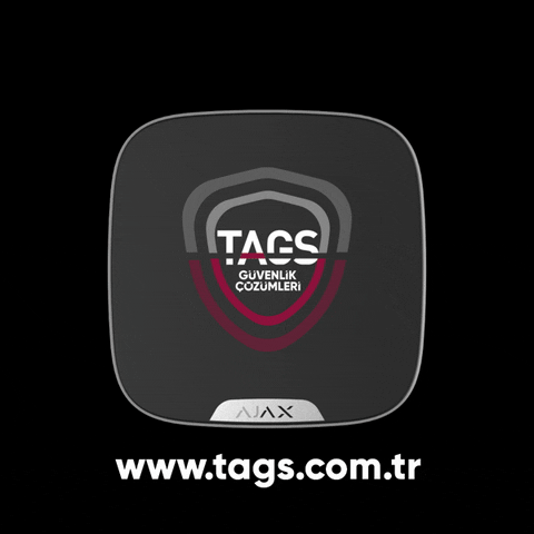 tagssecurity giphyupload security alarm tags GIF