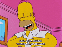 homer simpson GIF