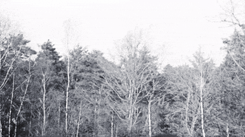 BeNatural movie woman black and white history GIF