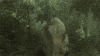 life dinosaurs GIF