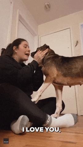 Dog Adoption GIF by Storyful