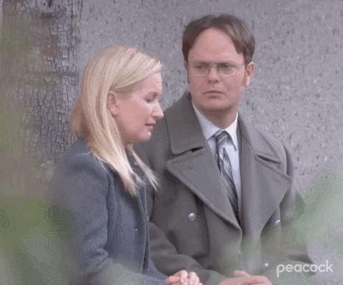 Episode 8 Comedy GIF by The Office