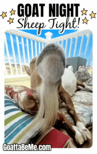 Tired Good Night GIF by Goatta Be Me Goats! Adventures of Pumpkin, Cookie and Java!