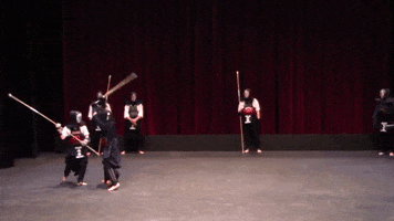 Bellevue College Kendo GIF by BC Student Programs