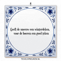 Humor Nl GIF by Tegelspreuken.nl