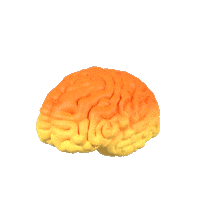 Elsevier back to school medical school med school medical student Sticker