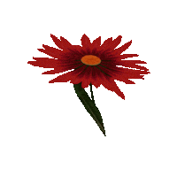 Fashion Love Sticker by REDValentino