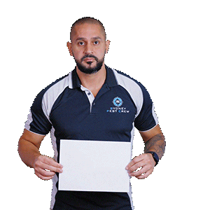 Sticker by Sydney Pest Crew