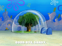 season 5 GIF by SpongeBob SquarePants