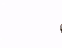 Helmond GIF by SVDEBRAAK