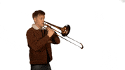 Carnaval Vastelaovend GIF by Lex Uiting