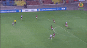 Valencia GIF by Club Deportivo Palestino