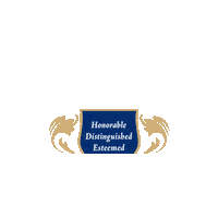 ampluslv goarchers amplus amplusacademy archerpride Sticker