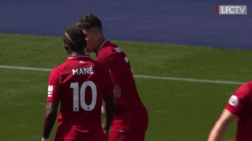 premier league dancing GIF by Liverpool FC
