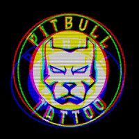 pitbulltattoo tattoo pitbull bangla phuket GIF