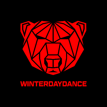 Winterdance GIF by AMBU-Tech AG