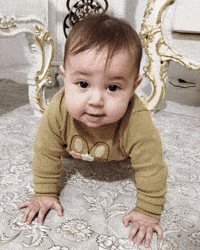 Elarajoon GIF