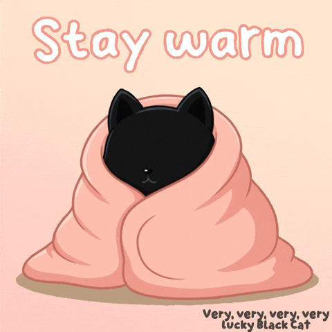 Freezing Black Cat GIF by VeeFriends