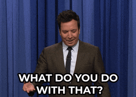 Jimmy Fallon What GIF by The Tonight Show Starring Jimmy Fallon