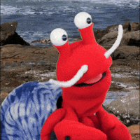 Im Gonna Hermit Crab GIF by Aquarium of the Pacific