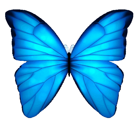 ritagifseadesivos butterfly flores flor borboleta Sticker