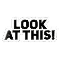 Look At This New Era Sticker by TOPPERZSTORE