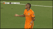 Major League Soccer Football GIF by Houston Dynamo