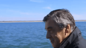 mimique GIF by franceinfo