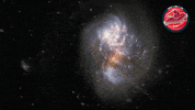 James Webb Universe GIF by ESA Webb Space Telescope