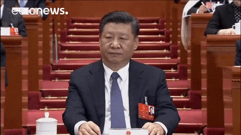 China GIF by euronews