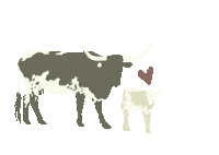 Horse Mama Sticker by Molly Virginia Morris Photography