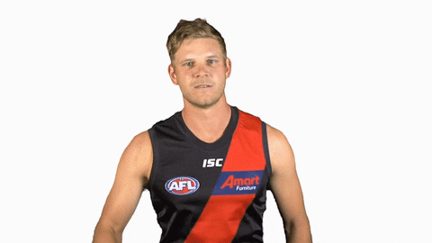 essendonfc giphyupload dons bombers essendon GIF