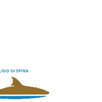 BaiadiMaui ferrara baia di maui baiadimaui lido di spina Sticker