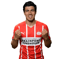 Football Celebrate Sticker by PSV