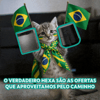 Futebol Copa GIF by Sicoob